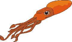 squid.gif